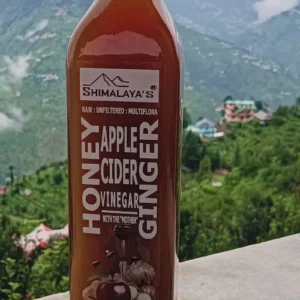 Apple Cider Vinegar with Honey & Ginger